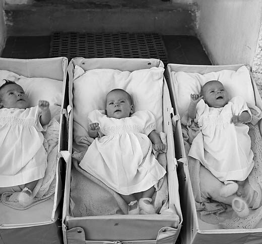 Image of triplet babies from 1952 Wales.