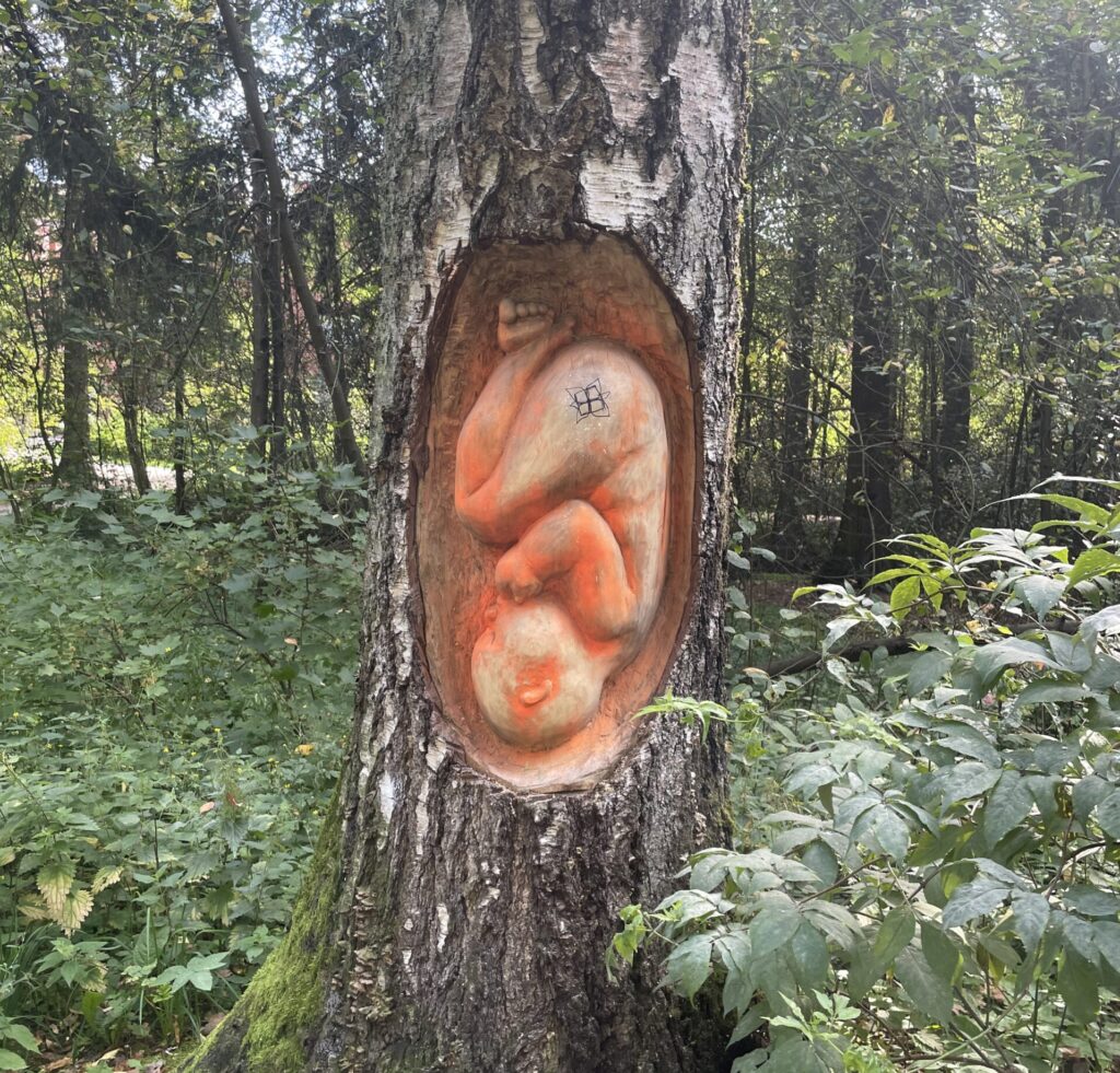 A photo of a tree in a forest, with a carving representing a fetus inside a womb. 